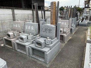 9728afca-08c2-43e1-a182-a27c628477d6