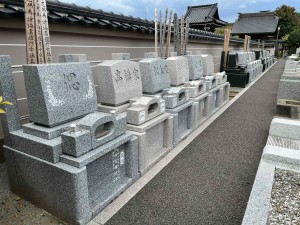 a8f45533-309a-40bd-bd16-bd57b08e4b1b